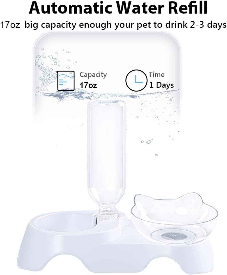 Double Pet Bowls Set