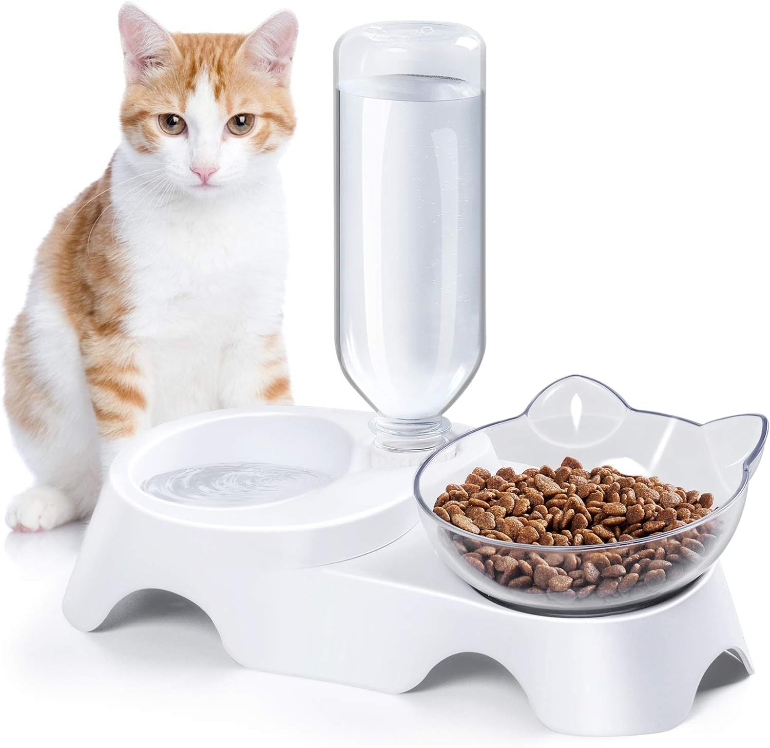 Double Pet Bowls Set