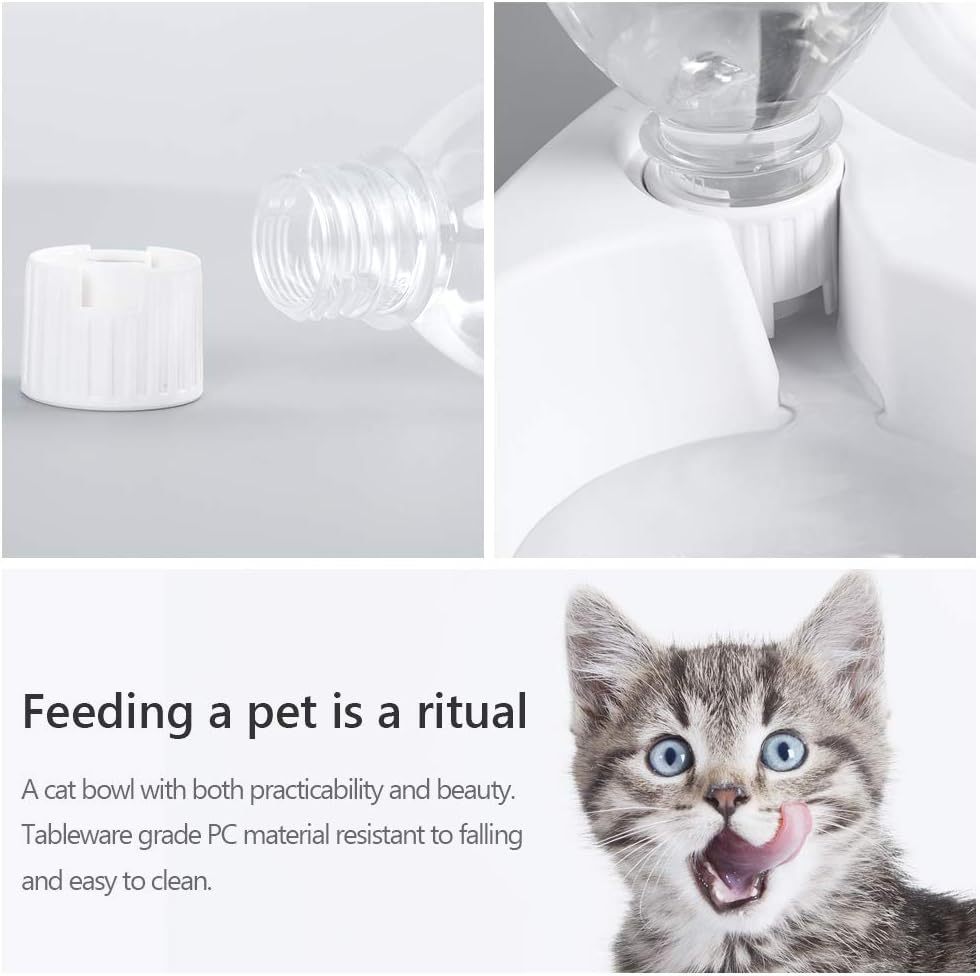 Double Pet Bowls Set
