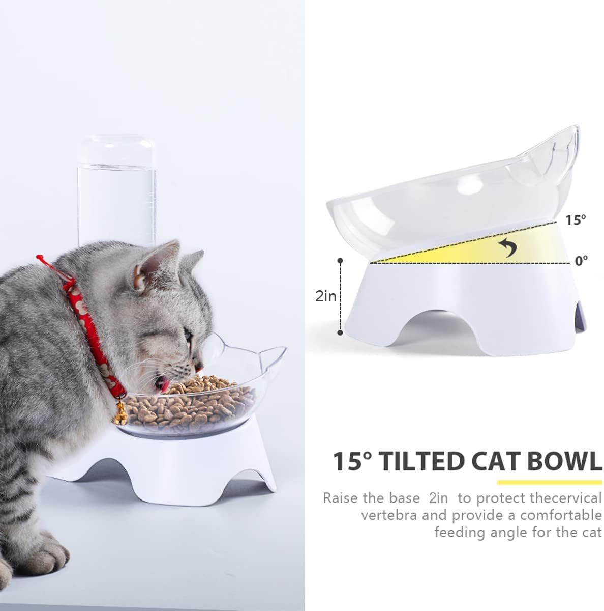 Double Pet Bowls Set