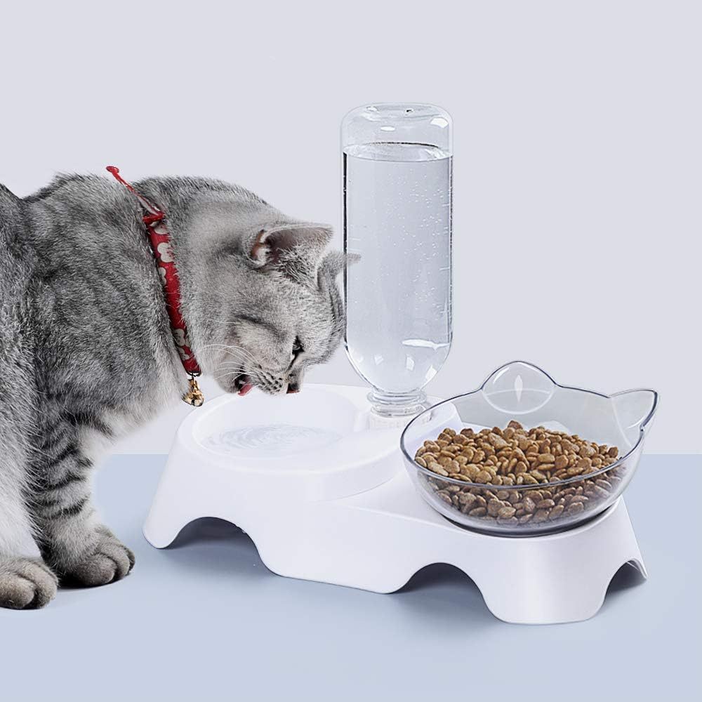 Double Pet Bowls Set